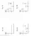 Fig. 02 - Method of adjusting reference information for biometric authentication and apparatus