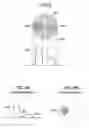 Fig. 03 - X-RAY CT IMAGE RECONSTRUCTION METHOD