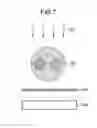 Fig. 06 - X-RAY CT IMAGE RECONSTRUCTION METHOD