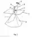 Fig. 03 - Method and device for navigating and measuring in a multidimensional image data set