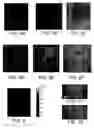 Fig. 07 - Systems and methods for multimodal imaging using a volumetric representation of an object
