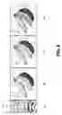 Fig. 09 - Appearance manifolds for modeling time-variant appearance of materials