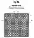 Fig. 09 - Calibration and normalization method for biosensors