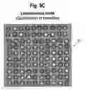 Fig. 10 - Calibration and normalization method for biosensors