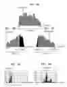 Fig. 11 - Method and apparatus for controlling dynamic depth of stereo-view or multi-view sequence images