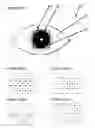 Fig. 10 - Two stage detection for photographic eye artifacts