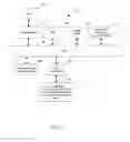 Fig. 02 - Methods and apparatuses for restoring color and enhancing electronic images