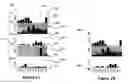 Fig. 03 - Digital object information via category-based histograms