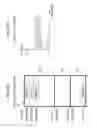 Fig. 07 - IMAGE PROCESSING APPARATUS