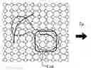 Fig. 01 - Fast 4D segmentation of large datasets using graph cuts