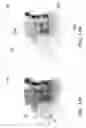 Fig. 14 - User interface for use in security screening providing image enhancement capabilities and apparatus for implementing same