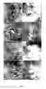 Fig. 08 - Functional dissipation classification of retinal images