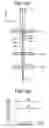 Fig. 11 - Optical switch and method of adjusting optical switch