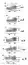 Fig. 03 - Fiber optic structures having an attachment portion