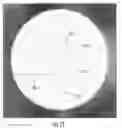 Fig. 07 - Fiber optic structures having an attachment portion