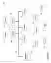 Fig. 02 - Mesh communication wireless camera system and method