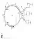 Fig. 02 - Optical transmitter/receiver module