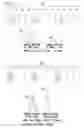 Fig. 12 - Terminal device, center device, optical communication network system and upstream signal timing control method