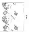 Fig. 04 - Dispersion compensator for frequency reshaped optical signals