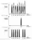Fig. 10 - Multimode optical transmission device