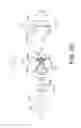 Fig. 11 - Electrophotographic image forming apparatus, developing apparatus, and coupling member