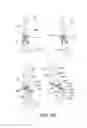 Fig. 26 - Electrophotographic image forming apparatus, developing apparatus, and coupling member