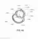 Fig. 40 - Electrophotographic image forming apparatus, developing apparatus, and coupling member