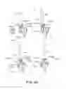 Fig. 45 - Electrophotographic image forming apparatus, developing apparatus, and coupling member