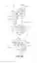 Fig. 76 - Electrophotographic image forming apparatus, developing apparatus, and coupling member