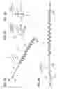 Fig. 04 - Developer conveying member, developer container, image forming apparatus, and method of assembling a developer conveying member