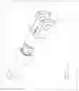 Fig. 06 - Multiple axis movement yoke/clevis design (articulated clevis)