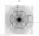 Fig. 06 - Pump, real-time, general and incremental condition diagnosis