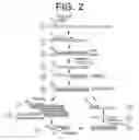 Fig. 03 - Nucleic Acid Assays