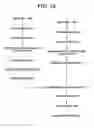 Fig. 11 - Reacting apparatus comprising a plurality of reactors
