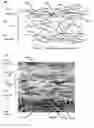 Fig. 05 - Catalyzing Lean NOx Filter and Method of Using Same
