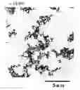Fig. 01 - Carbonates and Method for Producing the Same