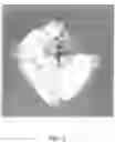 Fig. 03 - Ultrahard diamonds and method of making thereof