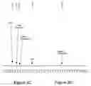 Fig. 05 - Methods of processing nanocrystals, and compositions, devices and systems including same