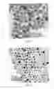 Fig. 02 - Method for making metal oxide nanocrystal