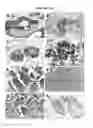 Fig. 16 - Anti-PRL-3 antibodies and methods of use thereof