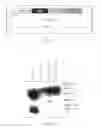 Fig. 03 - Methods and compositions for treating IgE-mediated diseases