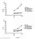 Fig. 17 - Methods and compositions for treating IgE-mediated diseases