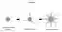 Fig. 03 - Quantum Dot Probes