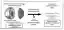 Fig. 01 - Polymeric Micelle Type Mri Imaging Agent