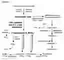 Fig. 02 - Method and composition for increasing Erythropoietin