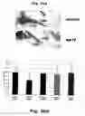 Fig. 51 - Methods of treating neurological conditions with hematopoeitic growth factors