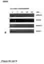 Fig. 53 - Methods of treating neurological conditions with hematopoeitic growth factors