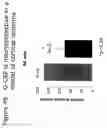 Fig. 66 - Methods of treating neurological conditions with hematopoeitic growth factors
