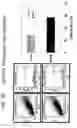 Fig. 69 - Methods of treating neurological conditions with hematopoeitic growth factors