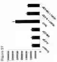 Fig. 74 - Methods of treating neurological conditions with hematopoeitic growth factors